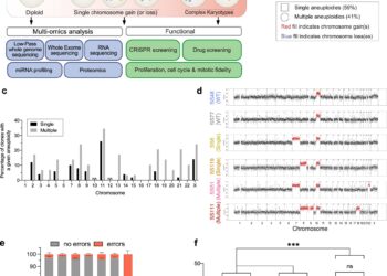 Changes in the chromosomes of cancer cells may increase their sensitivity to anticancer drugs