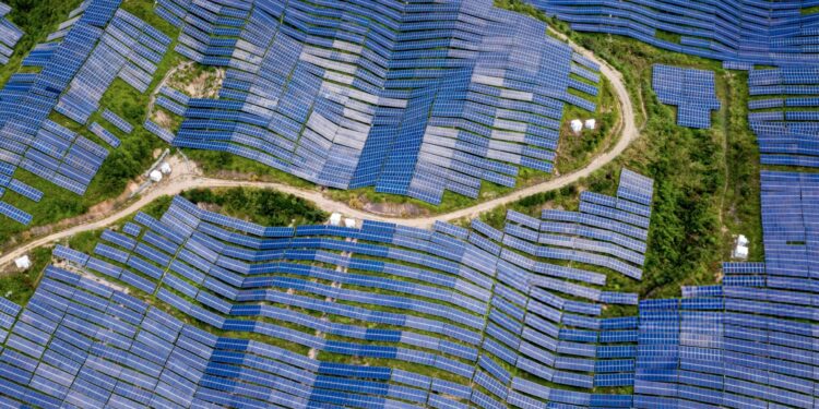 China’s solar sector faces major challenges | Economy