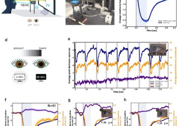 Closed-eye imaging allows monitoring of wakefulness, consciousness and pain under conditions of insensibility