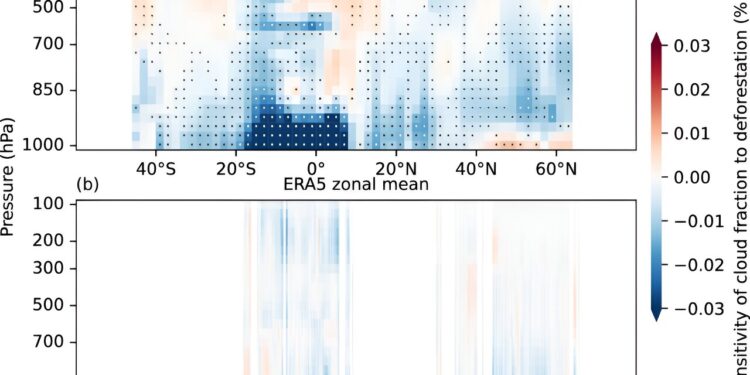 Cloud cover decreasing due to large-scale deforestation, researchers say