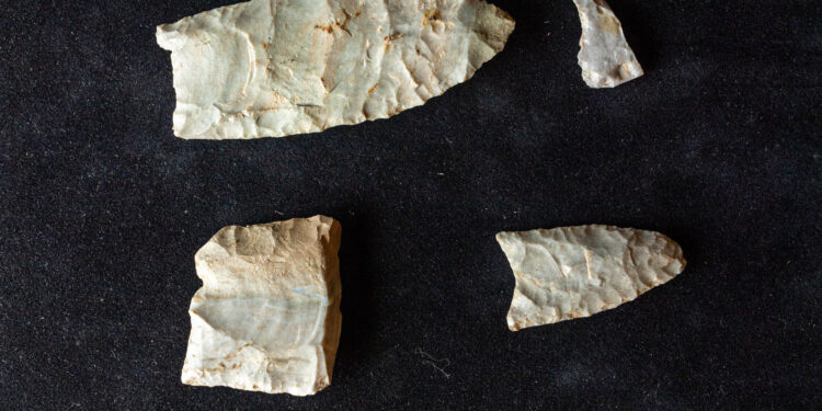 Clovis people used Great Lakes camp every year about 13,000 years ago, researchers confirm