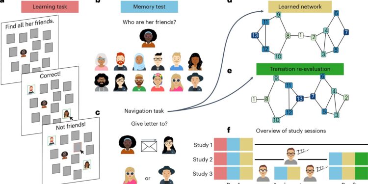 Cognitive scientists reveal similarity between social and spatial navigation