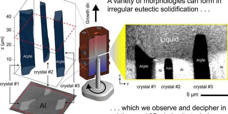 Deciphering the fundamentals of eutectic solidification using real-time nanoscale imaging