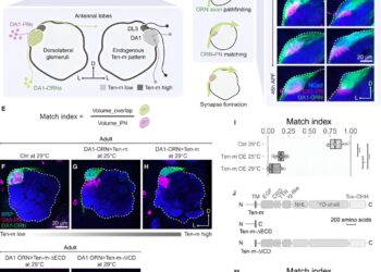 Decoding the language of cells with the power of proteomics