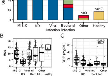 Diagnostic tool identifies puzzling inflammatory diseases in children