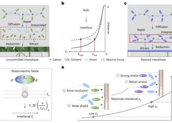 Dielectric protocol leads to high energy density in Li-metal pouch cells