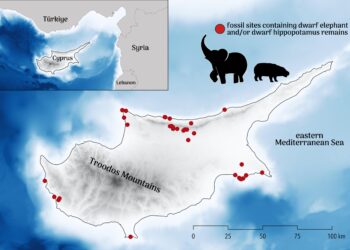 Disappearance of dwarf megafauna on Paleolithic Cyprus