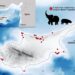Disappearance of dwarf megafauna on Paleolithic Cyprus