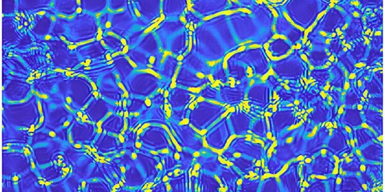 Discovery of a new convective instability in complex fluids, 140 years after Lord Rayleigh