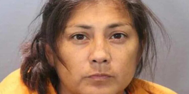 Drunk mother falls asleep in car with daughter dying of heat