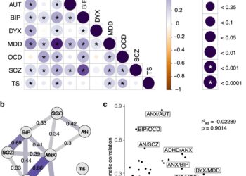 Dyslexia and ADHD share genetic links, study finds