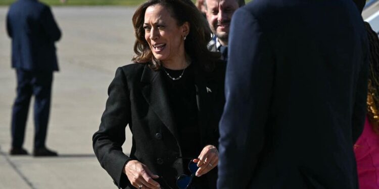 Economy, immigration, climate: four key proposals from Kamala Harris