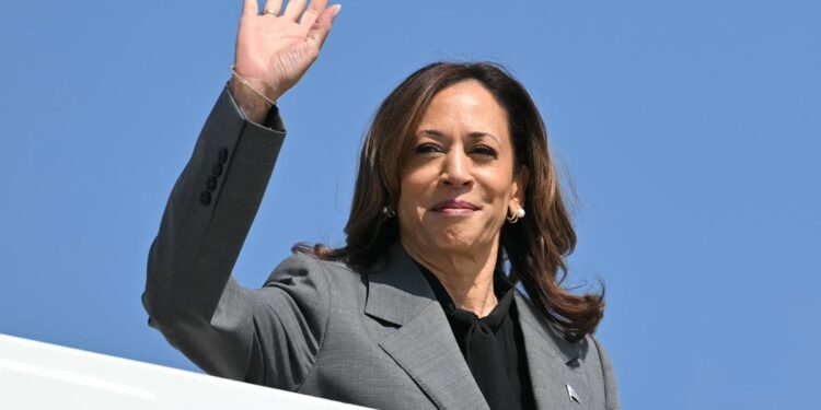Energy Commission: What would Saint Kamala have proposed?