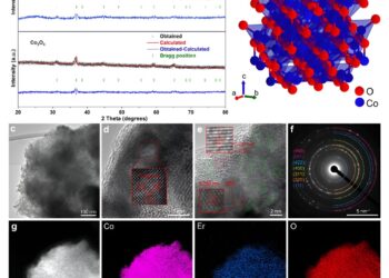 Erbium-doped electrocatalyst enhances oxygen evolution reactions in acidic environments