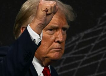 Fake accounts supporting Donald Trump: ‘It’s the tip of the iceberg,’ says expert