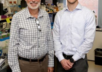 Fever leads to increased mitochondrial activity and damage in a subset of T cells, study finds