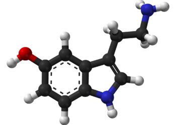 Fiber photometry technique reveals brain serotonin levels increase with reward value