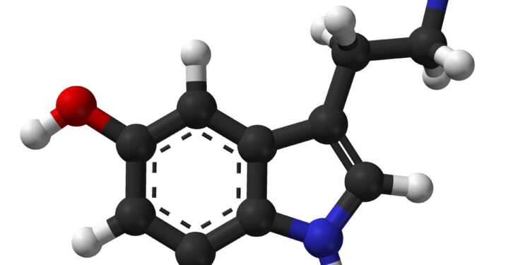 Fiber photometry technique reveals brain serotonin levels increase with reward value