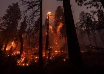 Fires in Los Angeles: “A Hard Time” for Firefighters, According to a Quebecer on Site