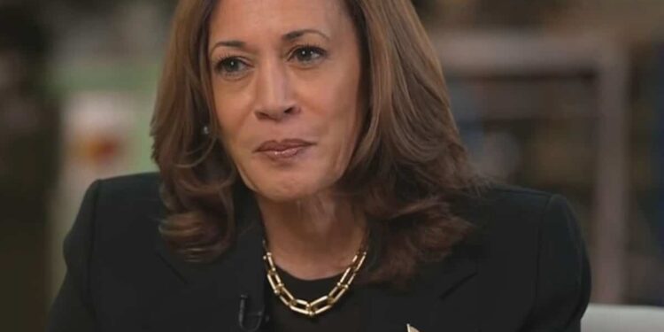 First solo interview: Kamala Harris attacks Donald Trump on the economy