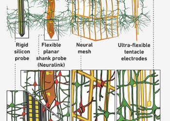 Flexible tentacle electrodes accurately record brain activity