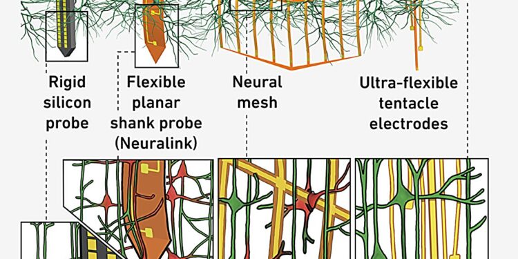 Flexible tentacle electrodes accurately record brain activity
