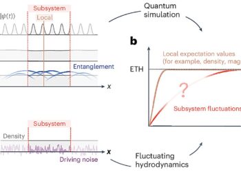 Fluctuating hydrodynamics theory could describe chaotic many-body systems, study finds