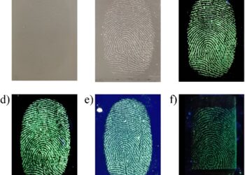 Fluorescent nanomaterial could transform how we view fingerprints