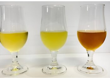 Fruit juices revisit kombucha