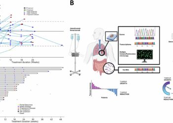 Gut bacteria influence responses to immunotherapy in mesothelioma patients, study finds