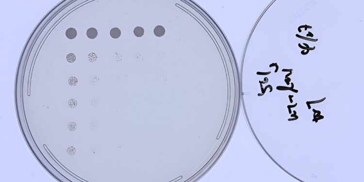 How Microorganisms Signal Food Shortages