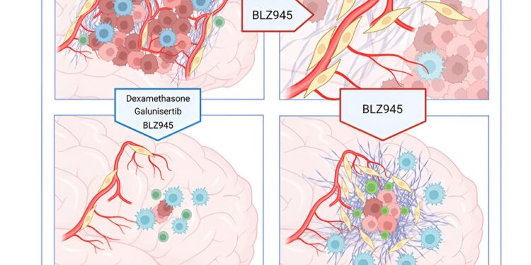 How Scars from Destroyed Brain Tumors Promote Relapse