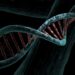 How do rare genetic variants affect health? AI provides more accurate predictions