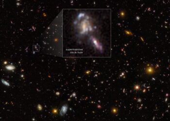 Hubble Discovers More Black Holes Than Expected in the Early Universe