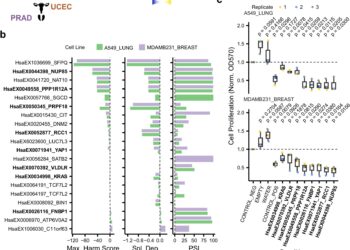 Hundreds of new cancer-causing genes predicted by algorithm