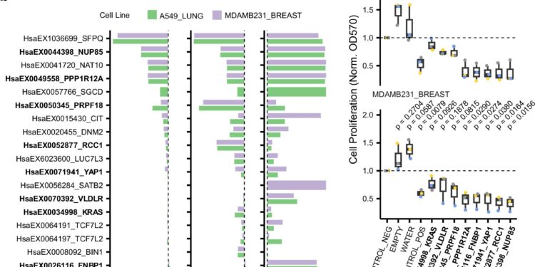 Hundreds of new cancer-causing genes predicted by algorithm