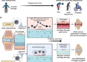 Hydrogel developed to slow or stop early stages of osteoarthritis