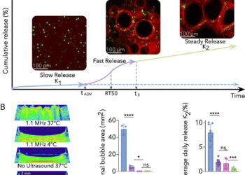 Hydrogel with ultrasound activation provides sustained drug release