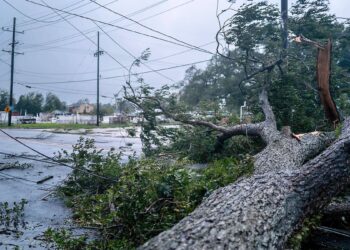 IN PICTURES | 155 km/h winds and heavy rain: Hurricane “Francine” hits Louisiana