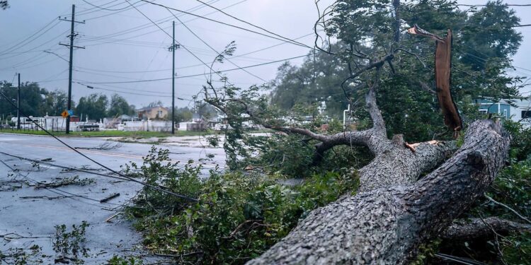 IN PICTURES | 155 km/h winds and heavy rain: Hurricane “Francine” hits Louisiana
