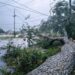 IN PICTURES | 155 km/h winds and heavy rain: Hurricane “Francine” hits Louisiana