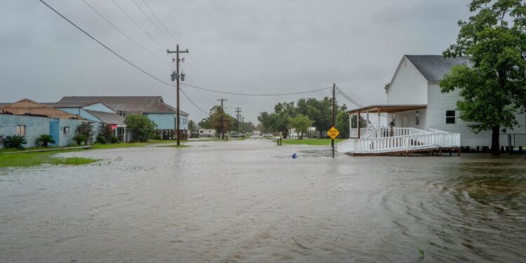 IN PICTURES | Floods, power outages, 85 km/h winds: tropical storm “Francine” progresses