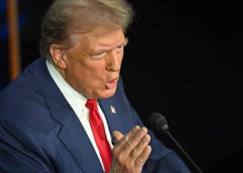 Illegal immigrants ‘eat cats and pets,’ Donald Trump says in debate