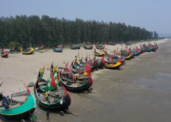 India faces shortage as Bangladesh tightens hilsa ban | Economy