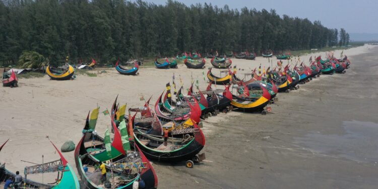 India faces shortage as Bangladesh tightens hilsa ban | Economy