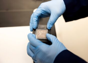 Inspired by squid and octopus, new display stores and displays encrypted images without electronics