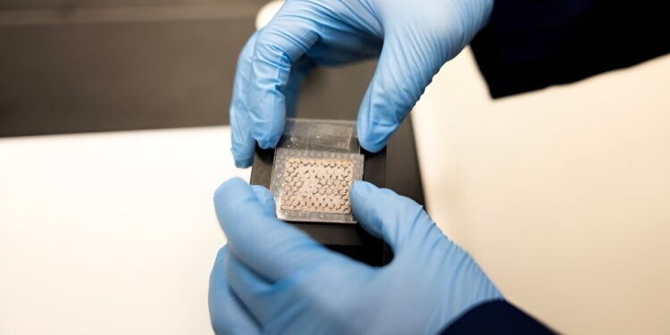 Inspired by squid and octopus, new display stores and displays encrypted images without electronics