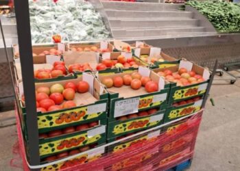 Jordanian government source to Al Jazeera Net: We refuse to export vegetables and fruits to Israel | Economic News
