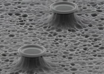 Label-free optical technology takes the power and efficiency of biological detection to a new level