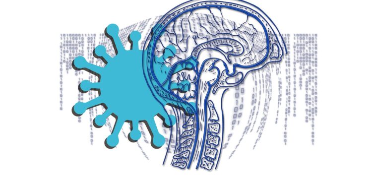 Large-scale study offers new insights into the brain effects of severe COVID-19